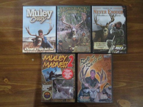 Mule deer hunting - 5,